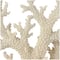 21" Cream Polystone Coral Sculpture with Clear Acrylic Base